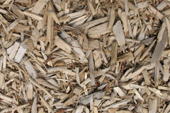 biomass boilers Satterleigh